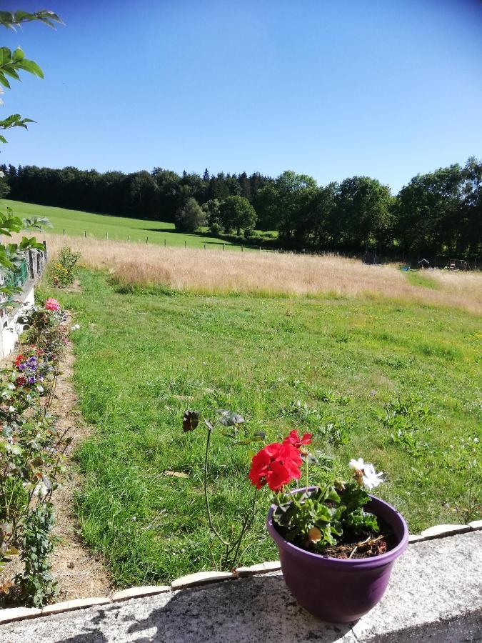 Gite Les Chaumeix Prondines Exterior photo