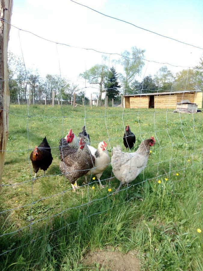 Gite Les Chaumeix Prondines Exterior photo
